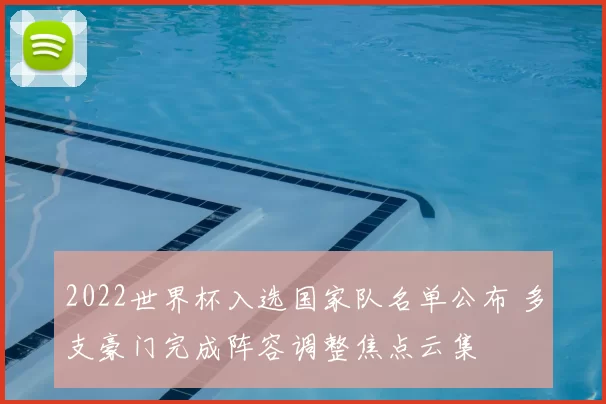 2022世界杯入选国家队名单公布 多支豪门完成阵容调整焦点云集