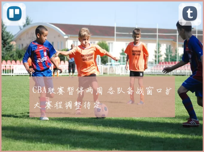 CBA联赛暂停两周 各队备战窗口扩大 赛程调整待定