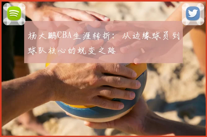 杨大鹏CBA生涯转折：从边缘球员到球队核心的蜕变之路