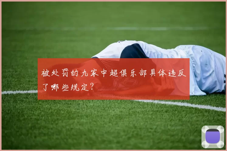 被处罚的九家中超俱乐部具体违反了哪些规定？